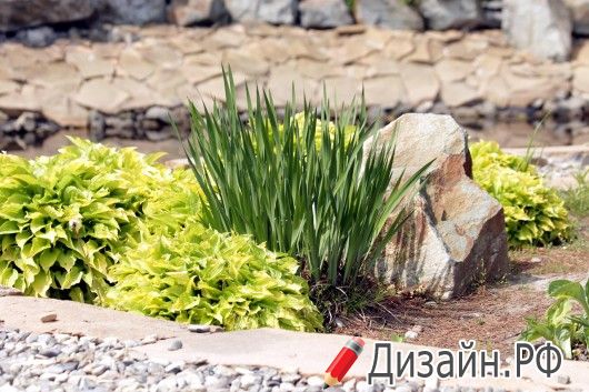 Чек-лист для ландшафтного дизайна: от идеи до реализации